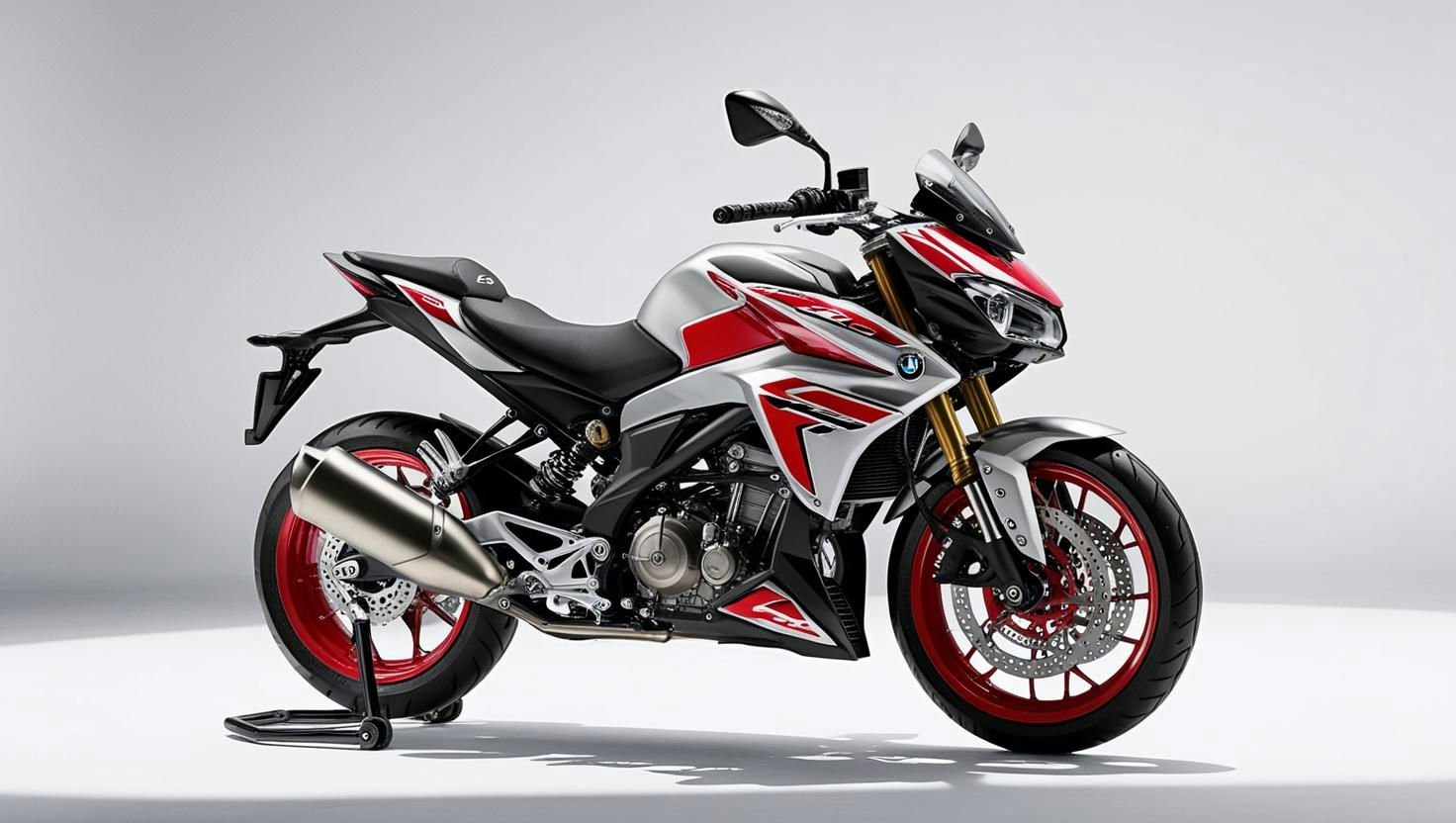 BMW G 310 RR Bike